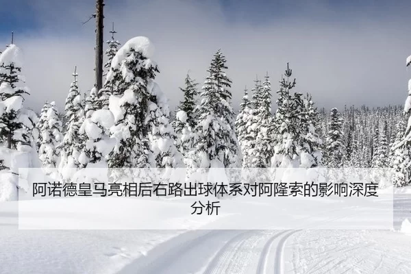a-nuo-de-huang-ma-liang-xiang-hou-you-lu-chu-qiu-ti-xi-dui-a-long-suo-de-ying-xiang-shen-du-fen-xi-2-476.jpg